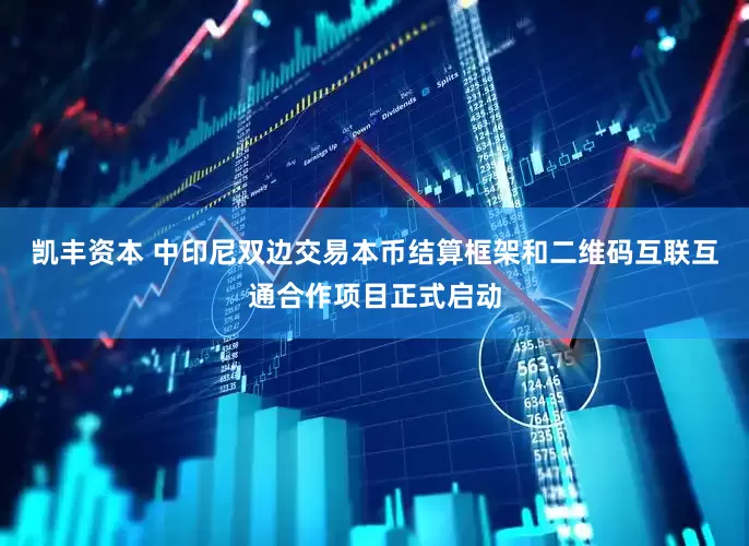 凯丰资本 中印尼双边交易本币结算框架和二维码互联互通合作项目正式启动